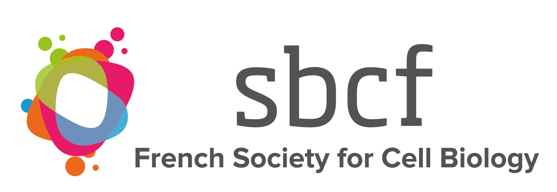 Logo_SBCF_EN_2.PNG